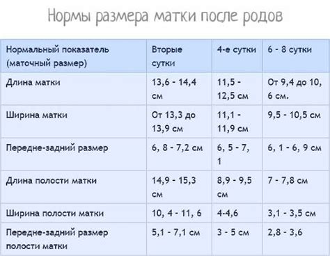 Основные нормы и сроки отпуска после родов в Беларуси