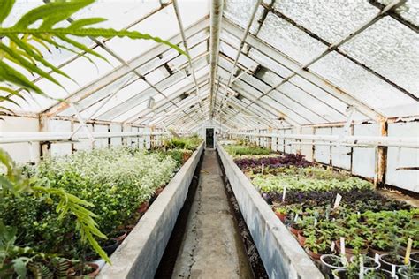 Основные преимущества установки теплицы без изменения грунта