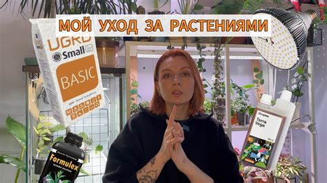 Основные принципы ухода за садовым сапсаном