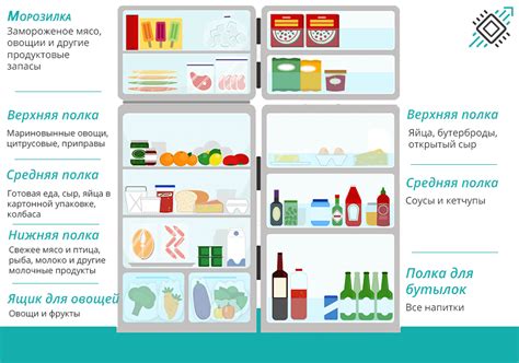 Основные принципы хранения продуктов в холодильнике