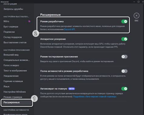 Основные способы определить идентификатор пользователя в Дискорде