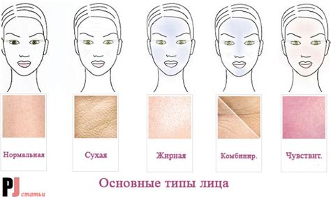 Основные типы кожи и их характеристики