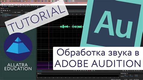 Основные функции звуковой обработки в программе Adobe Audition