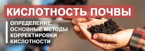 Основные характеристики кислотности почвы