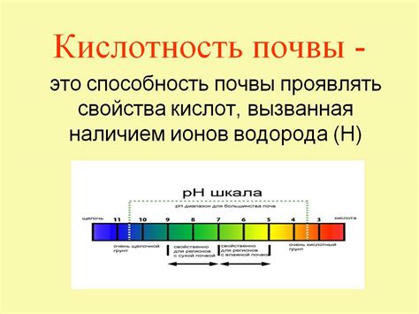 Основы измерения кислотности почвы: принципы и термины