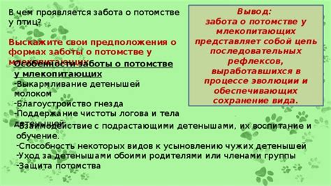 Особенности заботы о молодыми роголистниками