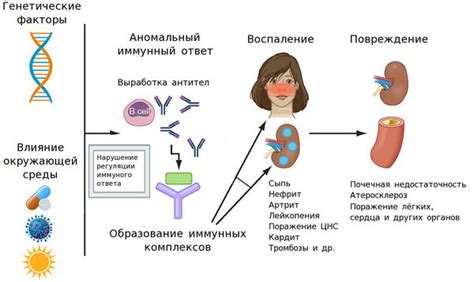 Особенности и риски при наличии системной красной волчанки в генетическом материале родителей