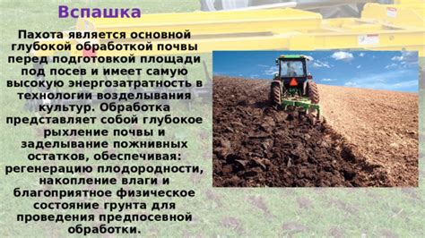 Особенности и сложности обработки почвы после дождевых осадков
