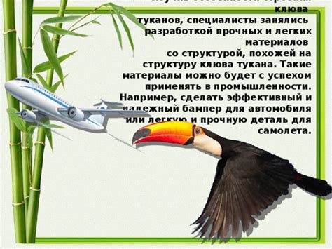 Особенности клюва