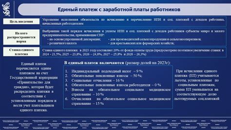 Особенности налоговой системы для лиц, занимающихся самостоятельной деятельностью
