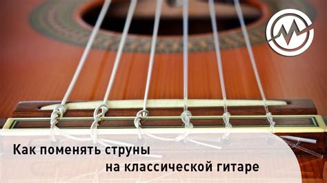 Особенности тонировки стержней на классической музыкальной гитаре