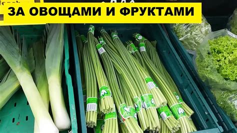 Особенности ухода за овощами перед подготовкой и после нее