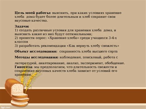Особенности хлеба в зависимости от сорта и способа хранения
