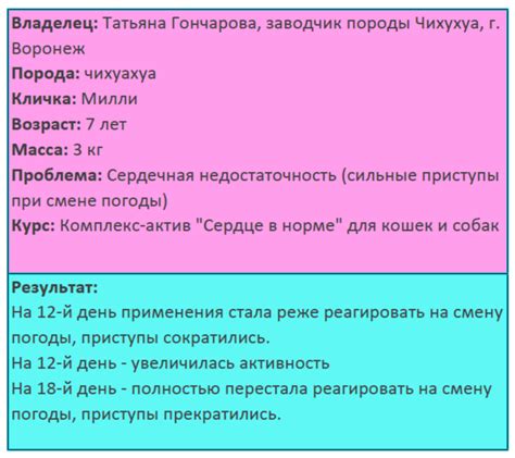 Отдельные зоны для активного общения домашних питомцев