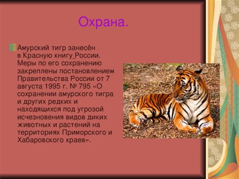 Охрана видов: меры по сохранению морской выдры в территориях РФ