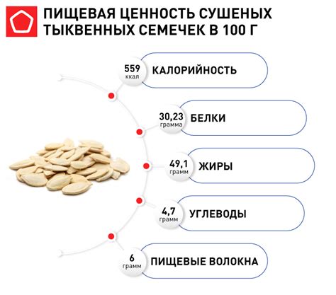 Оценка возможных негативных последствий при употреблении тыквы и семечек для грызунов