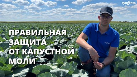 Очищение капусты от загрязнений: защита от нежелательных бактерий