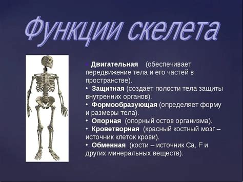 Партия и сооружение скелета космического объекта