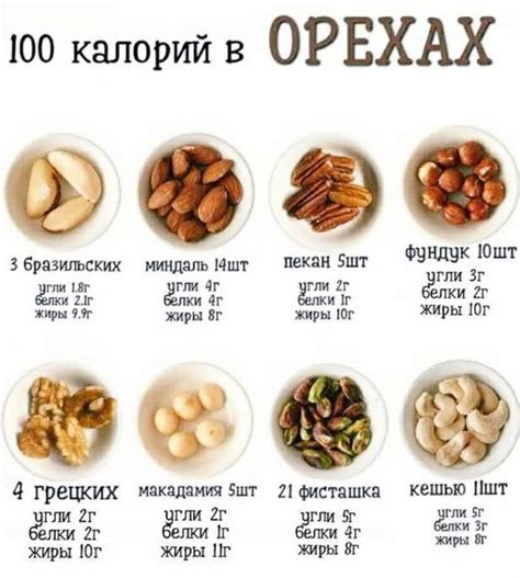 Пищевая ценность грецких орехов и их соответствие пищевым потребностям кроликов