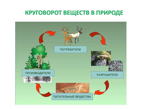 Пищевые предпочтения природных строителей