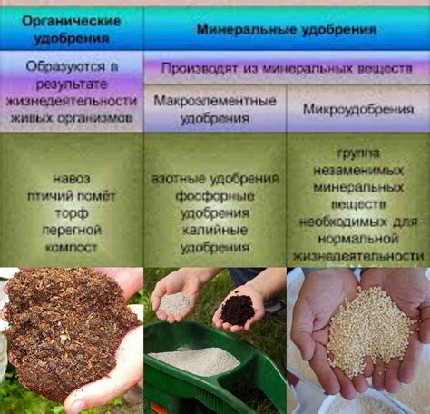 Подбор почвы и удобрений для успешного выполнения мартовских задач