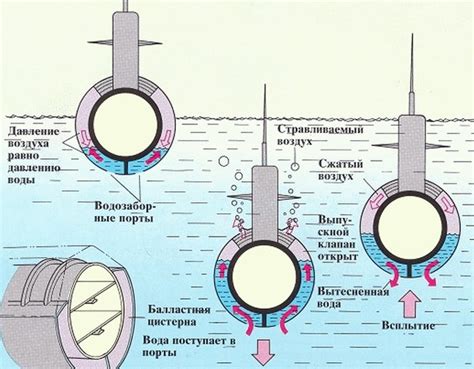 Подготовка воды и обустройство подводного мира