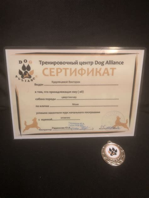 Подготовка маленькой собачки к процессу размножения: значимые факторы