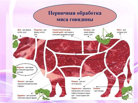 Подготовка мяса на сковородке с прессом