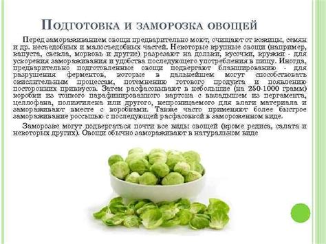 Подготовка сырья перед замораживанием: этапы и важность