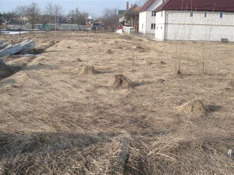 Подготовка участка перед началом строительных работ