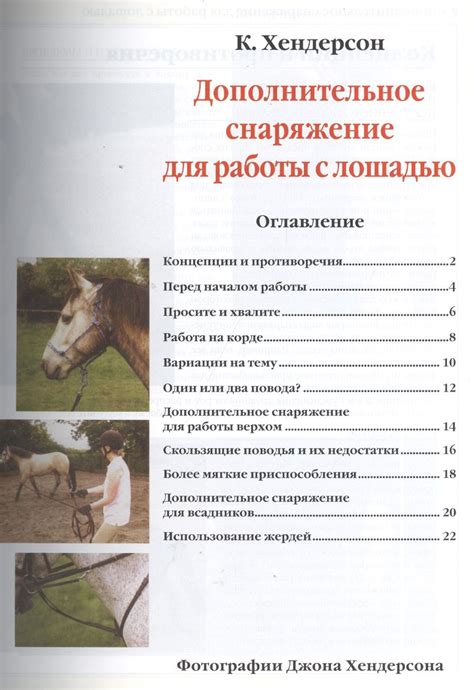 Познакомьтесь с основами работы с лошадью