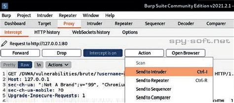Поиск и использование уязвимостей в веб-приложениях с помощью Burp Suite Professional