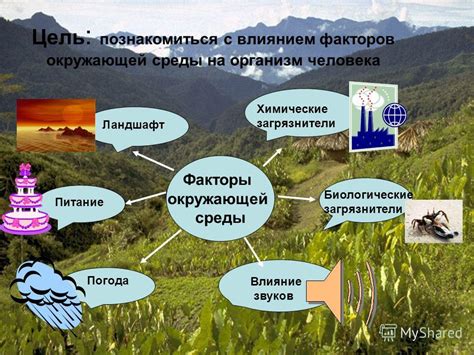 Полезность комбикорма для растений и окружающей среды