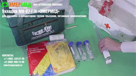 Полезные ресурсы, получаемые при использовании летающих грызунов
