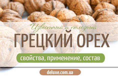 Полезные свойства и состав грецкого ореха