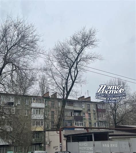 Получите информацию от жителей, проживающих по указанному адресу