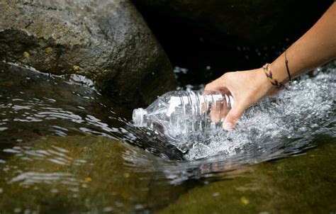 Польза родниковой воды для здоровья