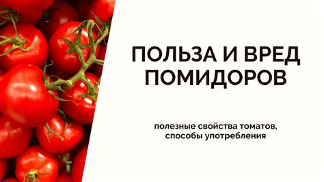 Популярные способы предварительной обработки репчатого овоща для устранения неприятной привкуса
