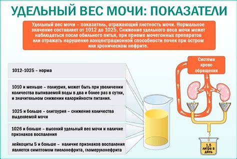 Последствия низкого удельного веса мочи