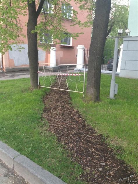 Почему народная тропа никогда не зарастет