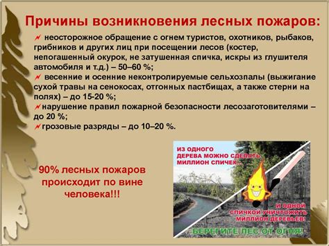 Правила обеспечения безопасности во время подготовки костра в природной среде