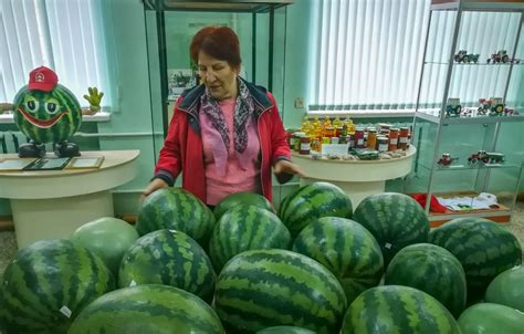Правила сохранения охлажденных дынь и арбузов