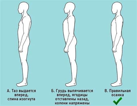 Правильная осанка: ключ к здоровому состоянию вашего позвоночника