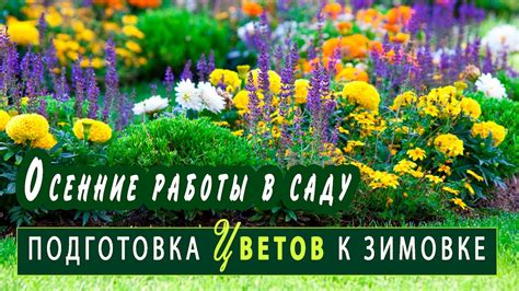 Правильное время подготовки розных растений к зиме: основные моменты заботы