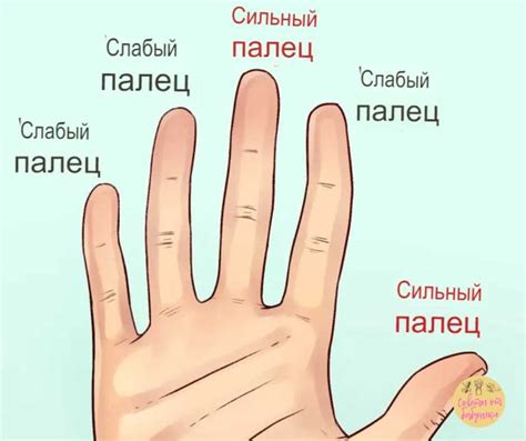 Правильный анализ посадки пальцев на гриф: секреты рукоприкладства мастеров