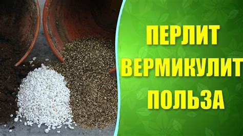 Преимущества и недостатки использования вермикулита для размножения розы