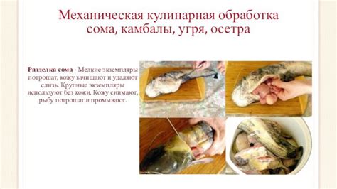 Преимущества отдельного обработки рыбы без защитной оболочки