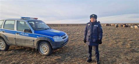 Привлечение опытного специалиста по поиску пропавших овец