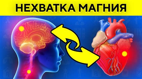 Признаки недостатка магния и его последствия