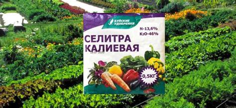 Применение нитрата калия в сельском хозяйстве
